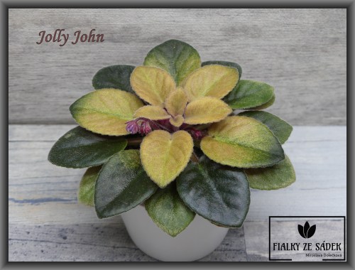 Jolly John